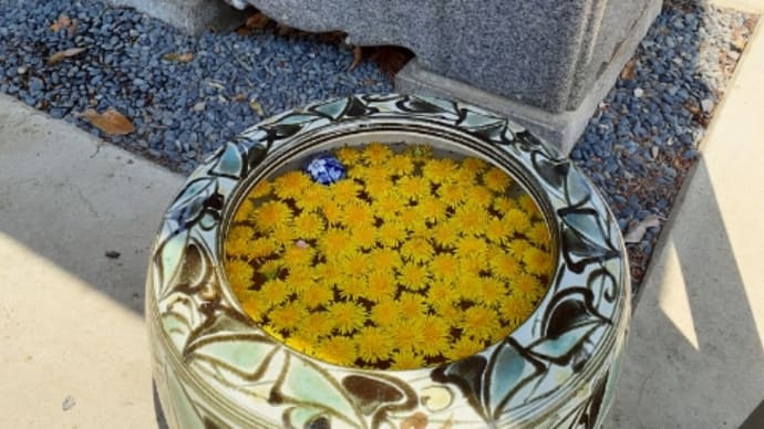 卯月の花手水