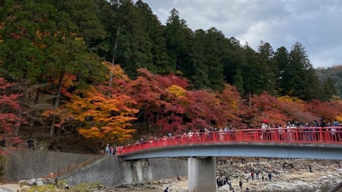 香嵐渓の紅葉見頃でした