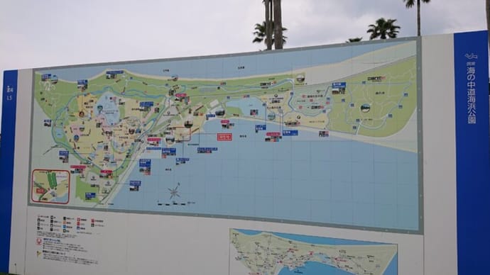 海の中道海浜公園(福岡市)は広大で花も美しくとてもオススメ!
