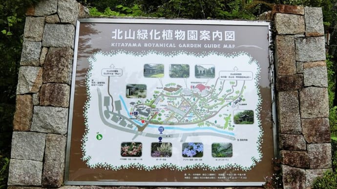 今日は西宮市の「北山緑化植物園」へ行きました