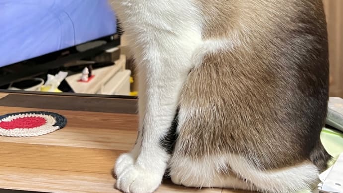 ツーショット拒否る