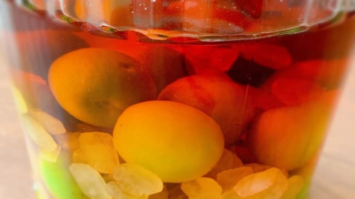 ブランデー梅酒作り