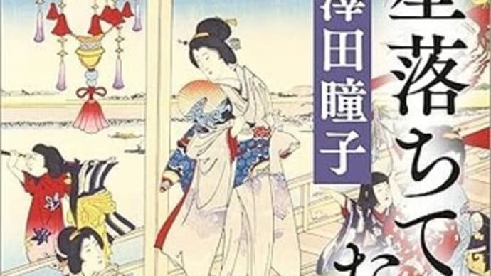 澤田瞳子「星落ちて、なお」を読む