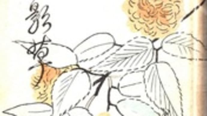 「音楽一夕話」「呪いの葉書」 成瀬無極