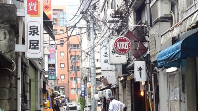 新潟・三条ラーメンをベースに厳選した煮干しと背脂の店!新橋本店だって!ホナぁ~。