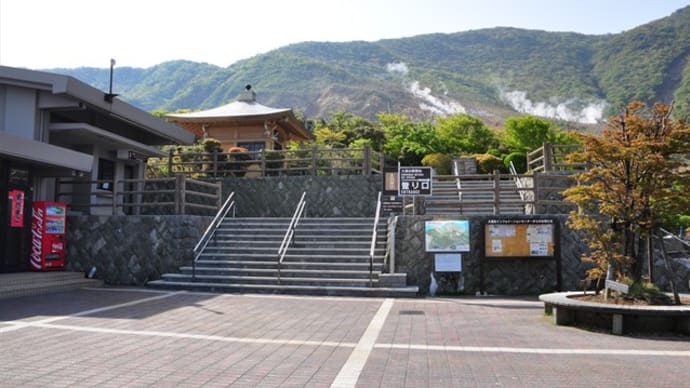 神山登山~箱根アカバナヒメイワカガミ①(回想)