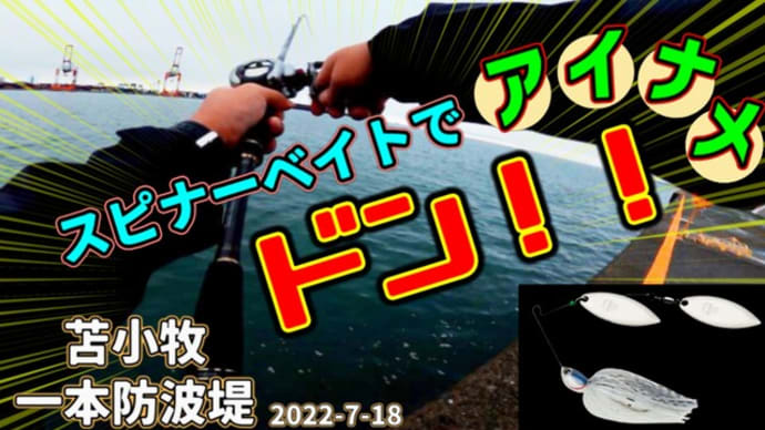 スピナーベイトでアイナメ炸裂!苫小牧でサバとマゾイも釣れた夏のロックフィッシュ♪