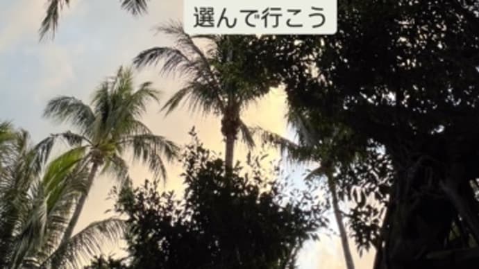 〜マヤ暦 K119 青い嵐・白い鏡・音2〜 いつかは泊まってみたいな「ムーンビーチホテル」