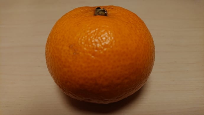 ビタミンC補給🎵