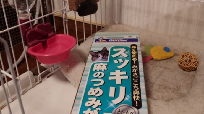 爪とぎ交換💦