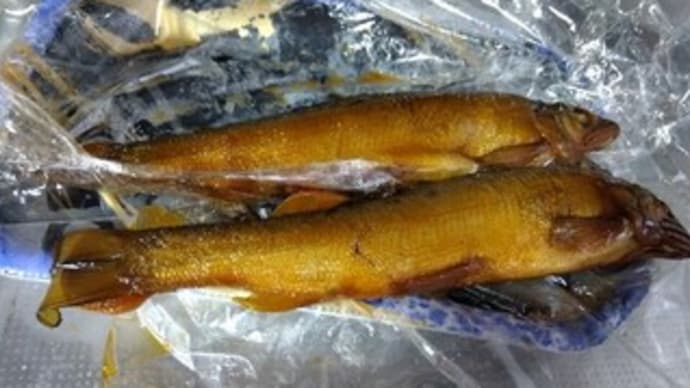 うなぎじゃなくて。