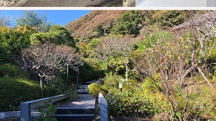 葉山の山口蓬春記念館を訪ねる。
