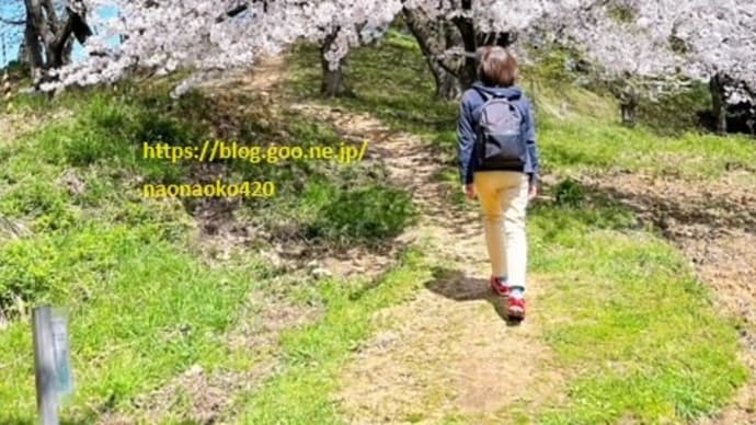 垣生山 ( はぶやま ) 展望台