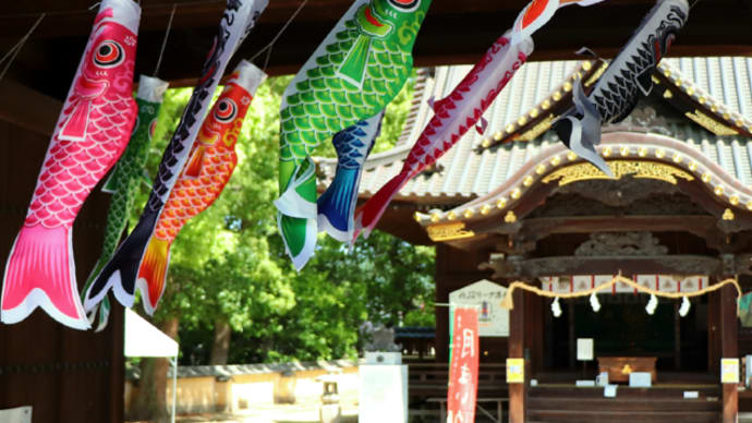 【5月1日の言葉】目には青葉 山ほととぎす 初鰹