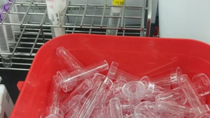 比喩表現