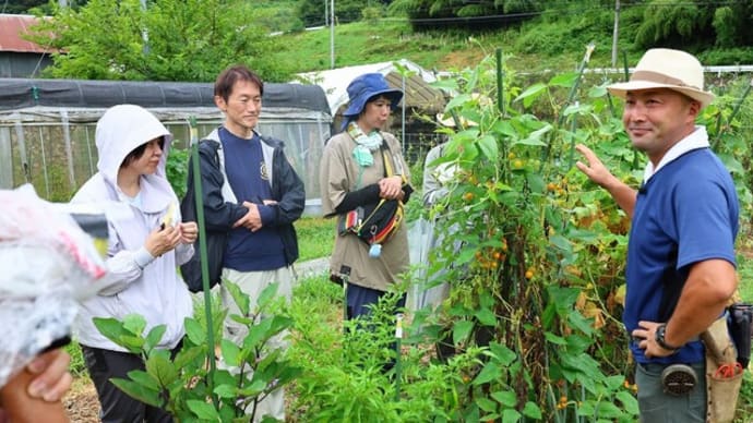 【無料公開用】自然菜園スクール『自然菜園見学コース』8/25(日)真夏の自然菜園見学 テーマ「自家採種」