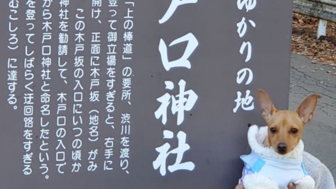 6日土曜日後編