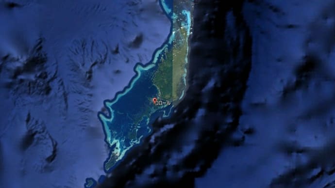 パラオ共和国(ベラウ共和国) 1993年 その2