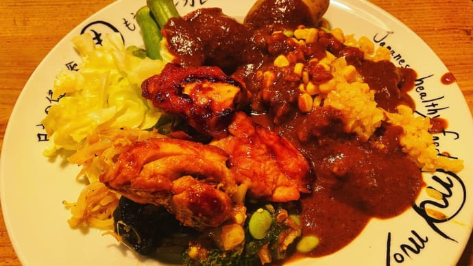 もうやんカレー