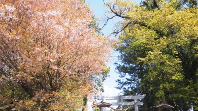 窪田阿蘇神社