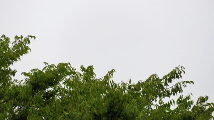 今日から9月(長月)ですね☆彡