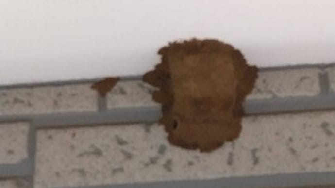 今日も急行します!