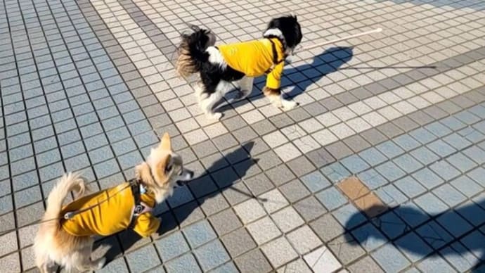 公園で走り回ろう!