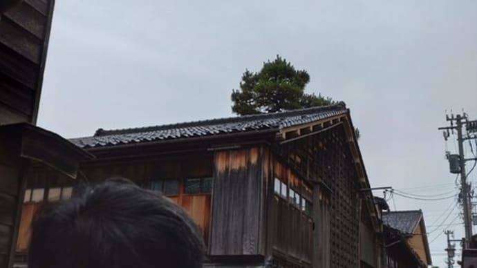 TDA日韓都市デザイン交流会2024:金沢富山から学んだこと