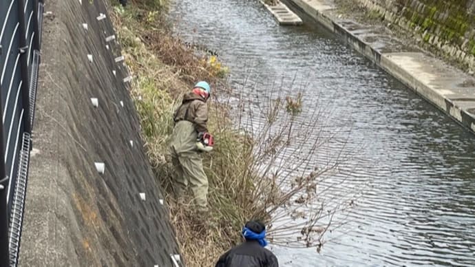 田越川草刈り