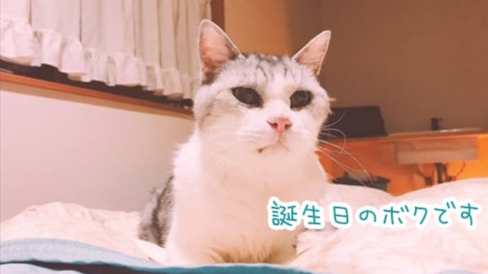 みるく 18歳!