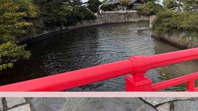 暖かさにつられて海辺の朝散歩を楽しみました。