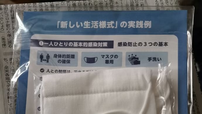やっとアベノマスクが届きました!