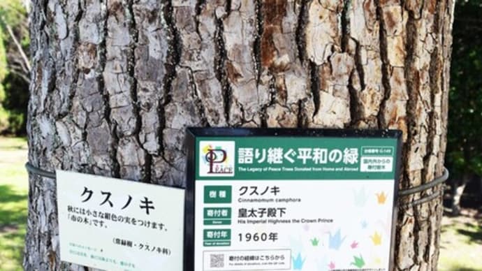 中区:(平和記念公園)皇太子殿下平和式典参列記念樹