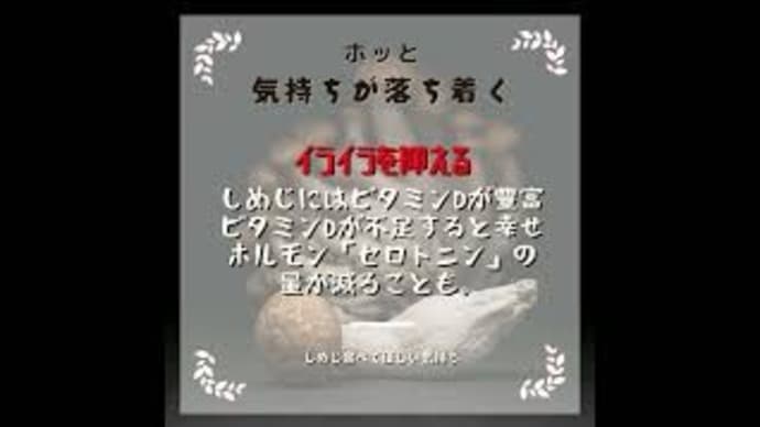 しめじを食べる編/365日野菜野菜シリーズ