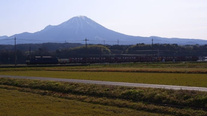 下りEF64-1000番台牽引 コンテナ貨物列車(朝陽を逆光に)【伯耆町吉長踏切付近:伯備線】2021.MAR