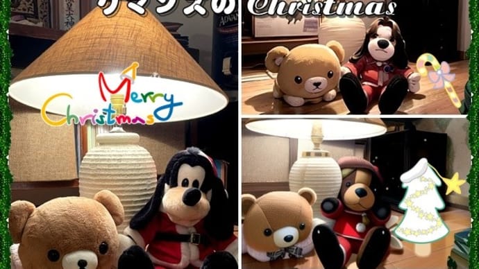 クマンズのChristmas(ついに移住決定❣)🎄