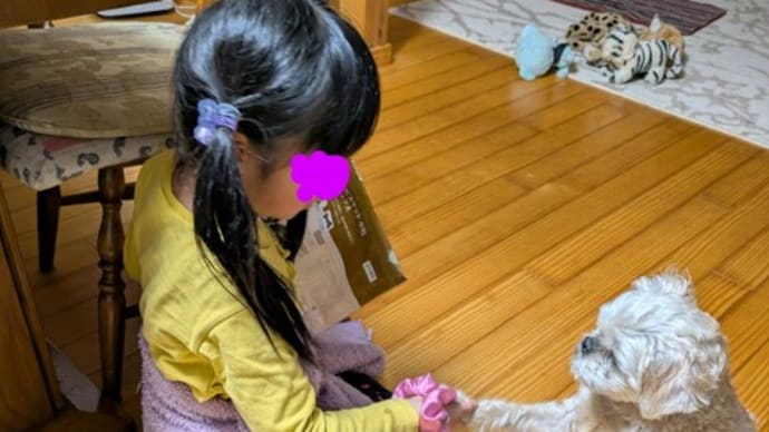 相棒???孫と犬