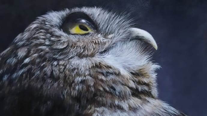 【作品紹介】「警戒〜アナホリフクロウ」アクリル画