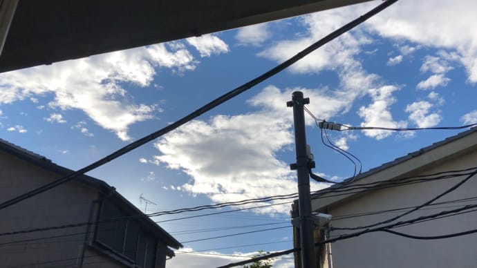 電線いっぱいのお空ですが…^ ^
