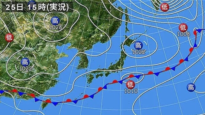 菜種梅雨?