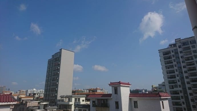 連休最終日 日曜日の朝
