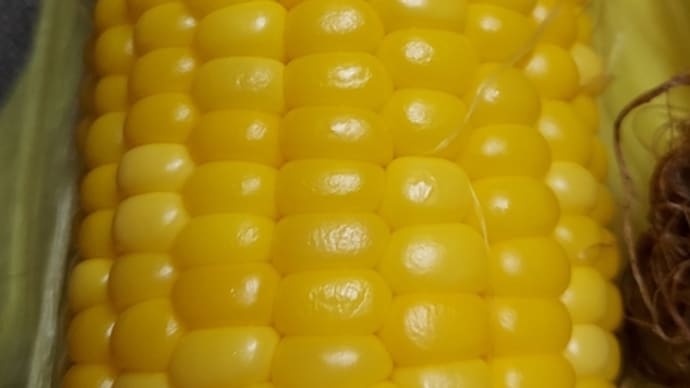 とっても甘くてプチプチなとうもろこし