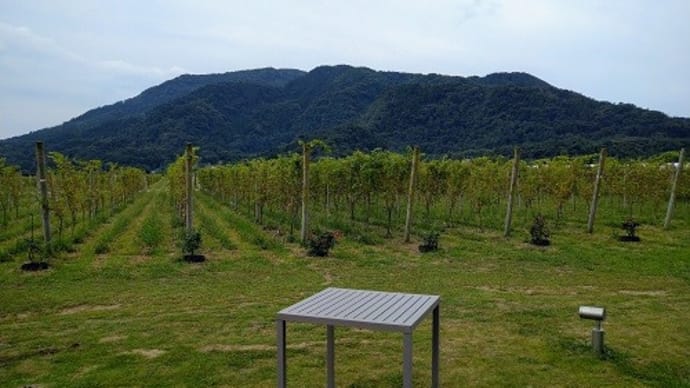 新潟の旅
