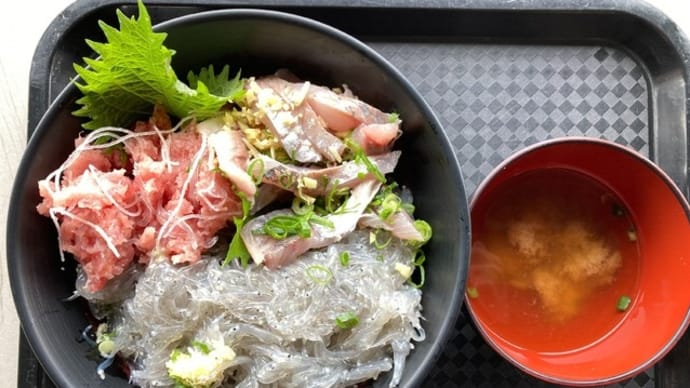 【リベンジ】生しらす「田子の浦 漁港食堂」/ "whitebait bowl" @Tagonoura