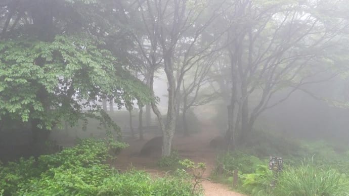早朝開園　霧の六甲高山植物園