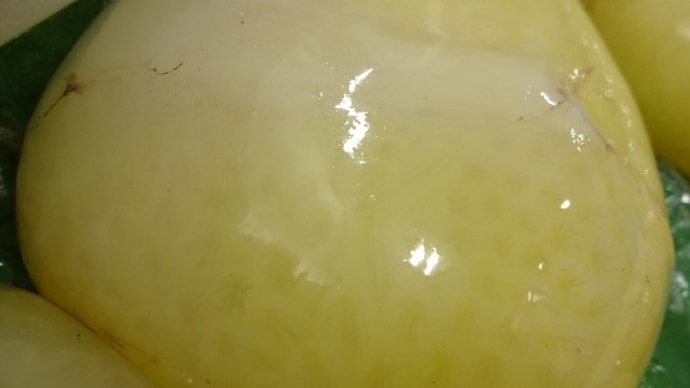 自家製「たこまんま醤油漬け」「なまら〆さば」「なまら手作り塩辛」!!刺身と手作り干物の専門店「発寒かねしげ鮮魚店」