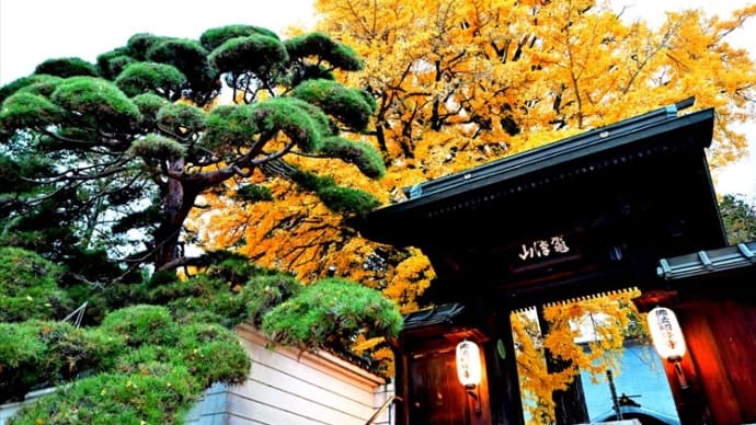 お殿様の愛した紅葉三山 佛法紹隆寺