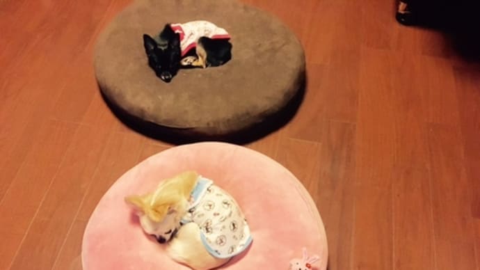 3連休なのに・・