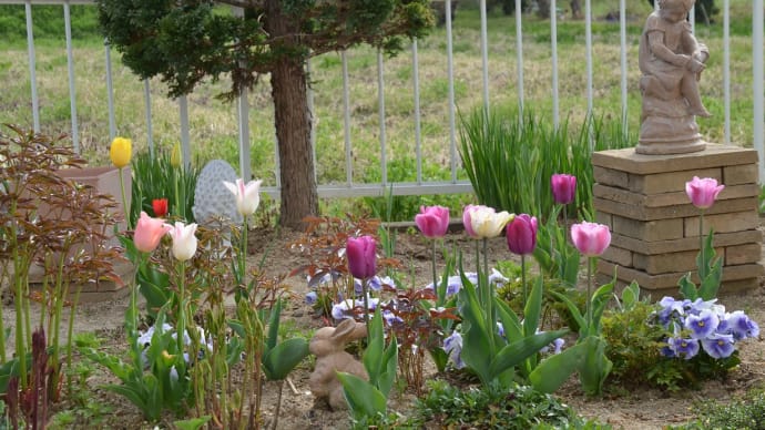2014.4.29 　昭和の日の私の庭