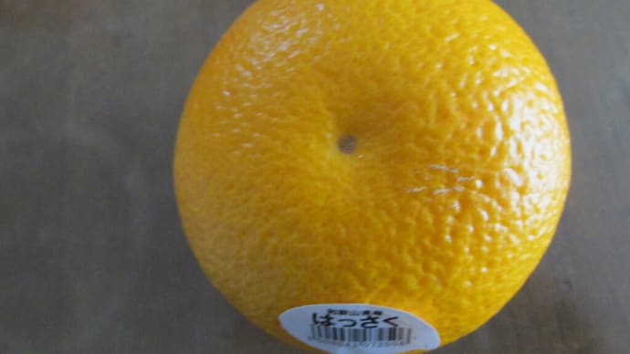 産地もそれぞれ